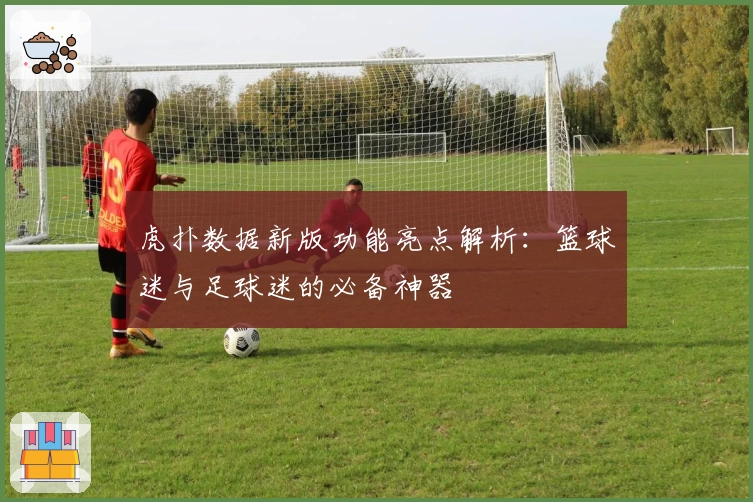 虎扑数据新版功能亮点解析：篮球迷与足球迷的必备神器