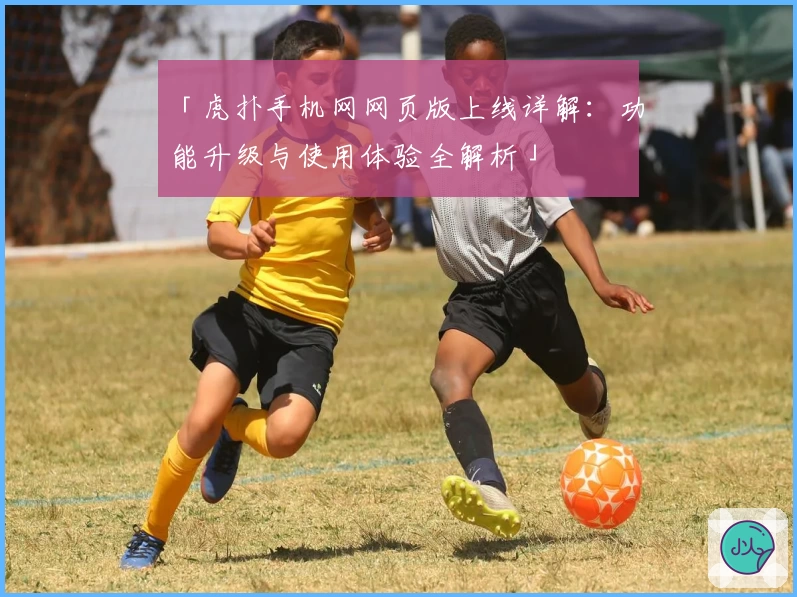 「虎扑手机网网页版上线详解：功能升级与使用体验全解析」