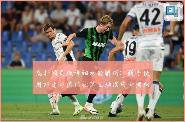 虎扑网页版详细功能解析：新手使用指南与热门社区互动技巧全揭秘