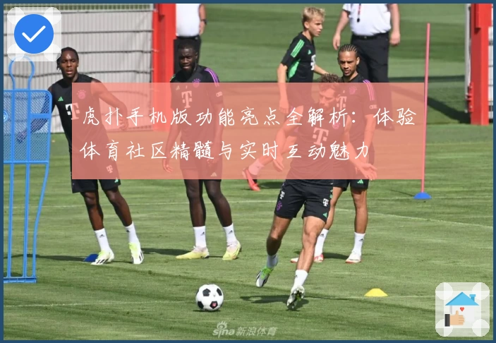 虎扑手机版功能亮点全解析：体验体育社区精髓与实时互动魅力