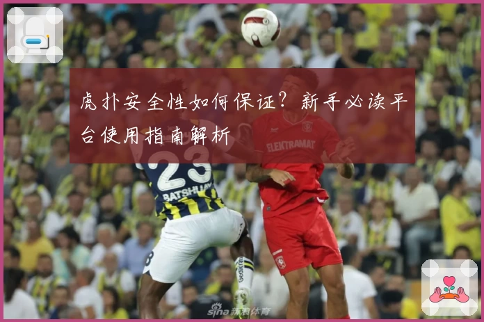 虎扑安全性如何保证？新手必读平台使用指南解析