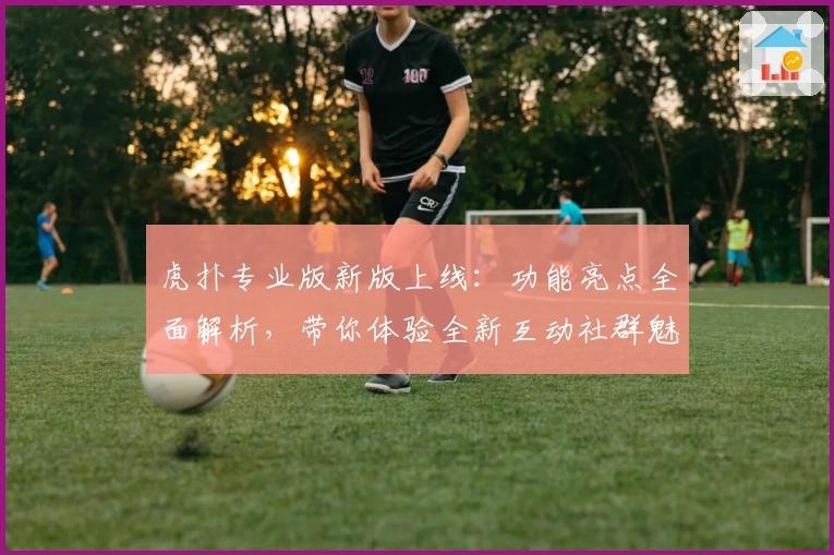 虎扑专业版新版上线：功能亮点全面解析，带你体验全新互动社群魅力